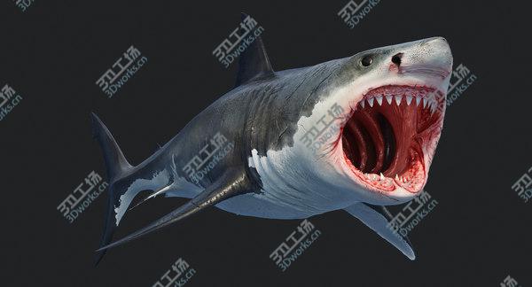 images/goods_img/20210312/3D Great Shark White/3.jpg